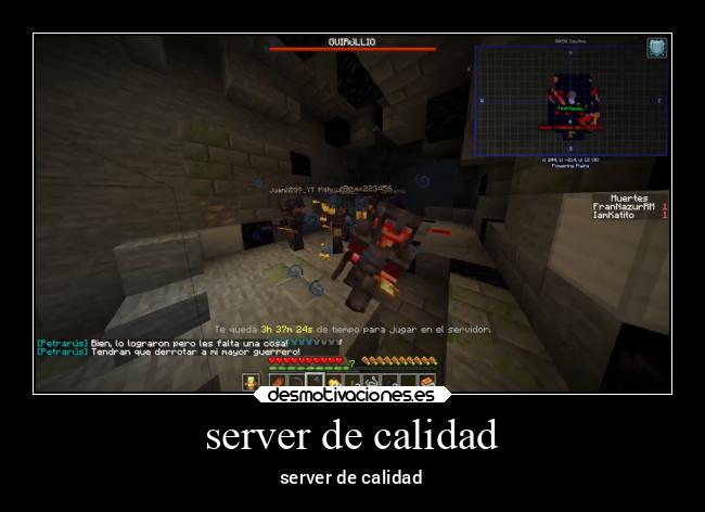 server de calidad -