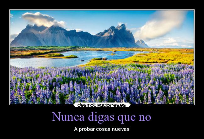 carteles vida v12 waltkdame principal desmotivaciones