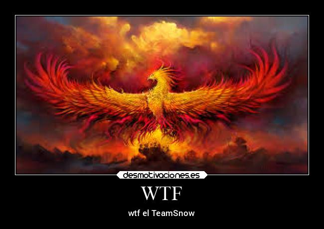 WTF - wtf el TeamSnow
