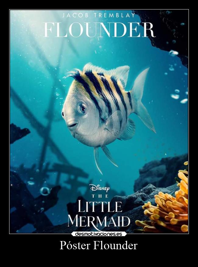 Póster Flounder - 