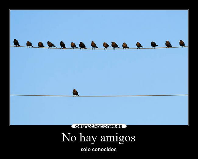 carteles amigos amigos desmotivaciones