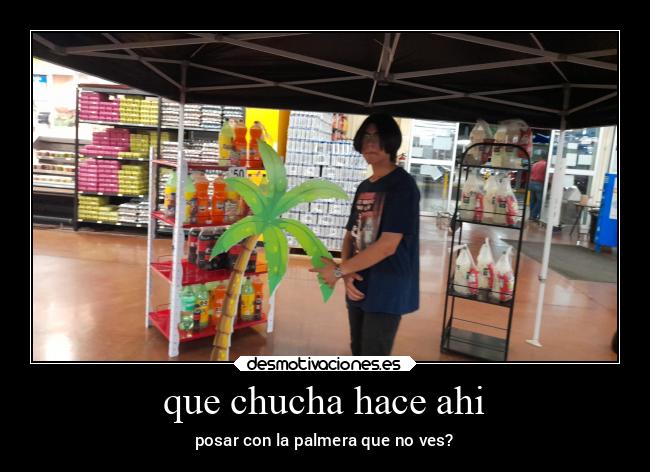 que chucha hace ahi - posar con la palmera que no ves?