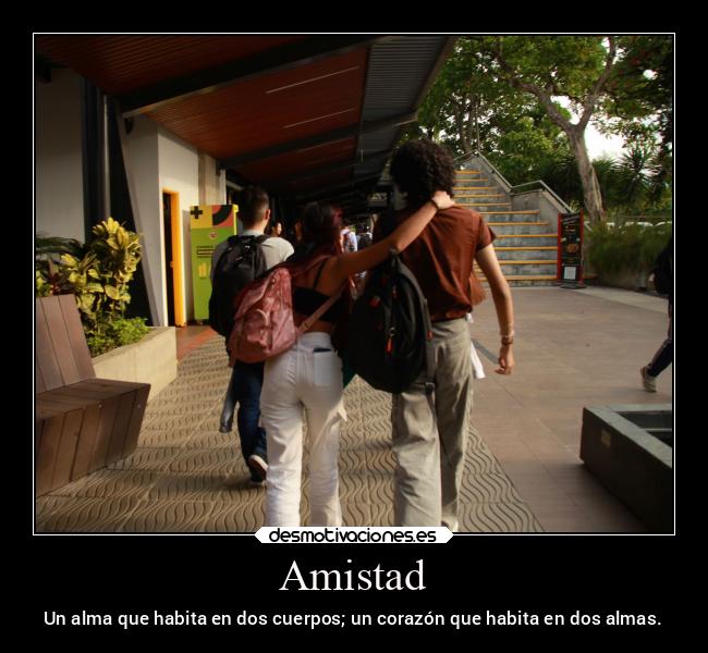 carteles amistad amistad desmotivaciones