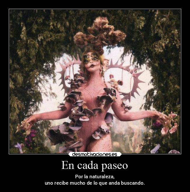 En cada paseo - Por la naturaleza,
uno recibe mucho de lo que anda buscando.