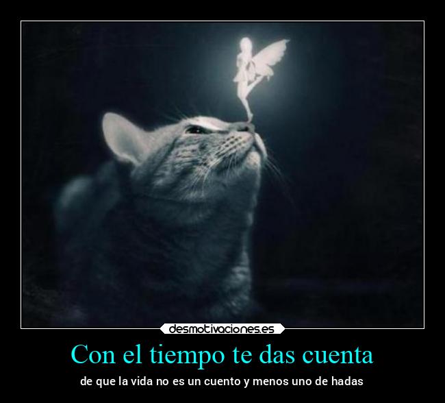 Con el tiempo te das cuenta -