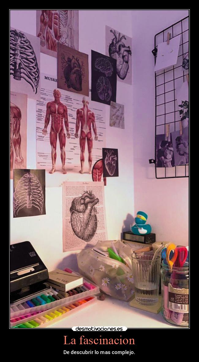 La fascinacion - De descubrir lo mas complejo.