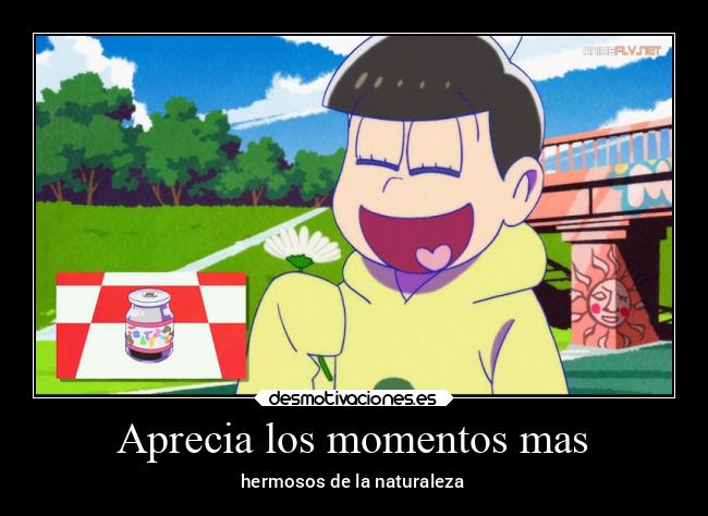 Aprecia los momentos mas - hermosos de la naturaleza