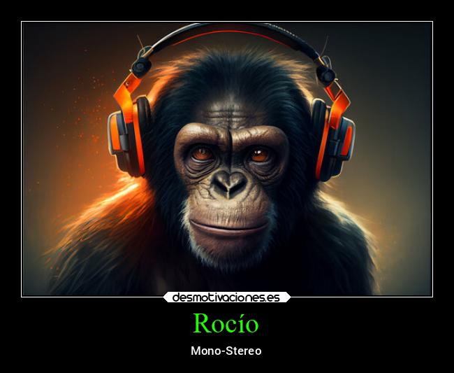 carteles politica monasterio vox monostereo politicos mono cascos auriculares desmotivaciones