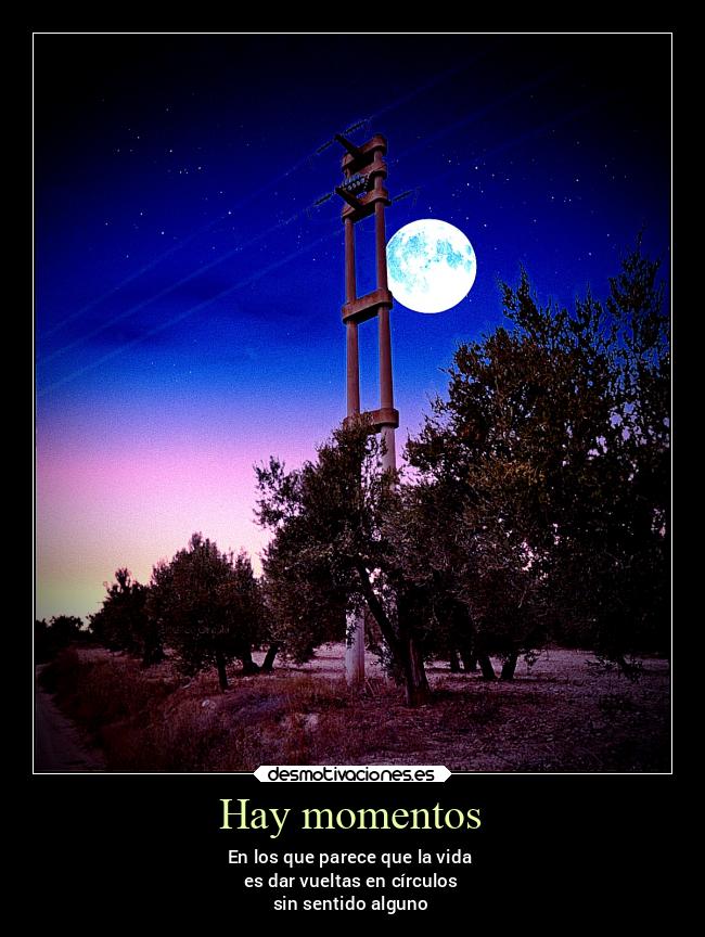 carteles vida v12 waltkdame principal desmotivaciones