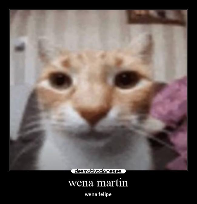 wena martin - wena felipe