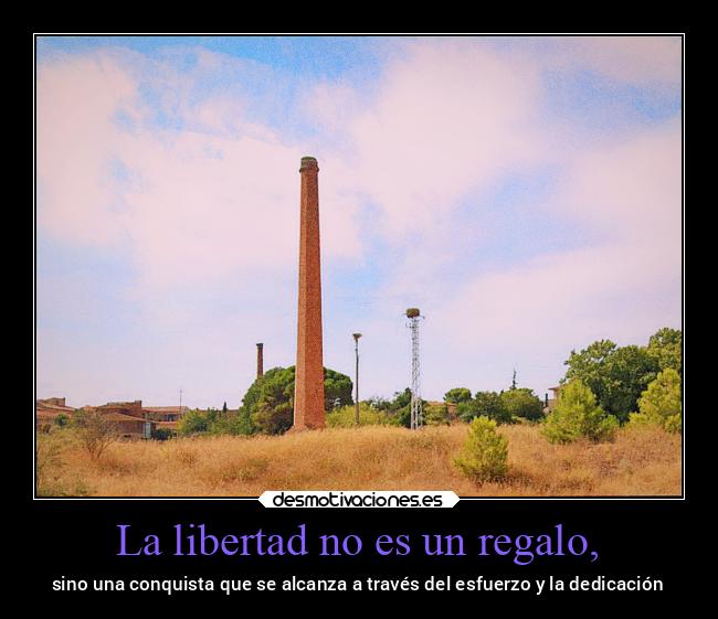 carteles libertad vida v12 waltkdame principal desmotivaciones