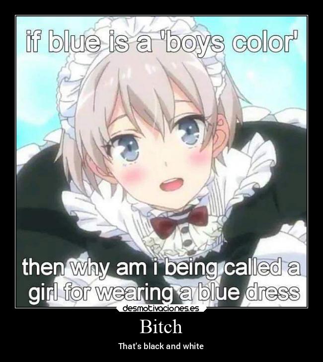 carteles memes filosofia gatos guerra pensamientos tonto desmotivaciones