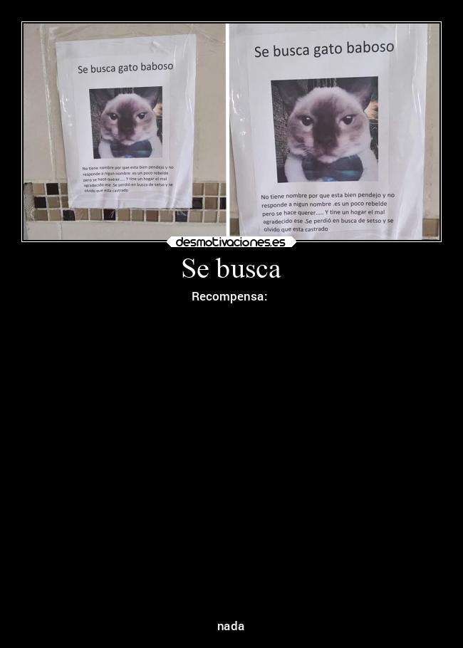 Se busca - Recompensa:
nada