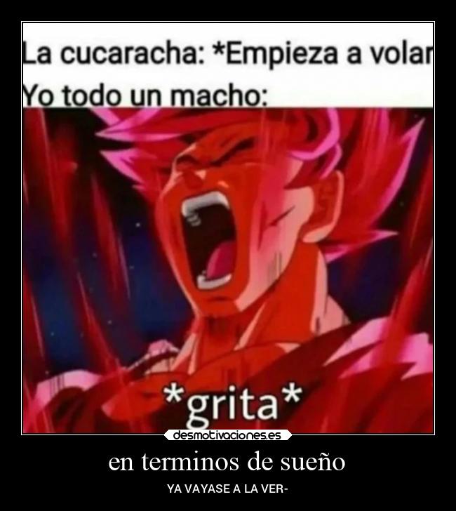 carteles memes desmotivaciones