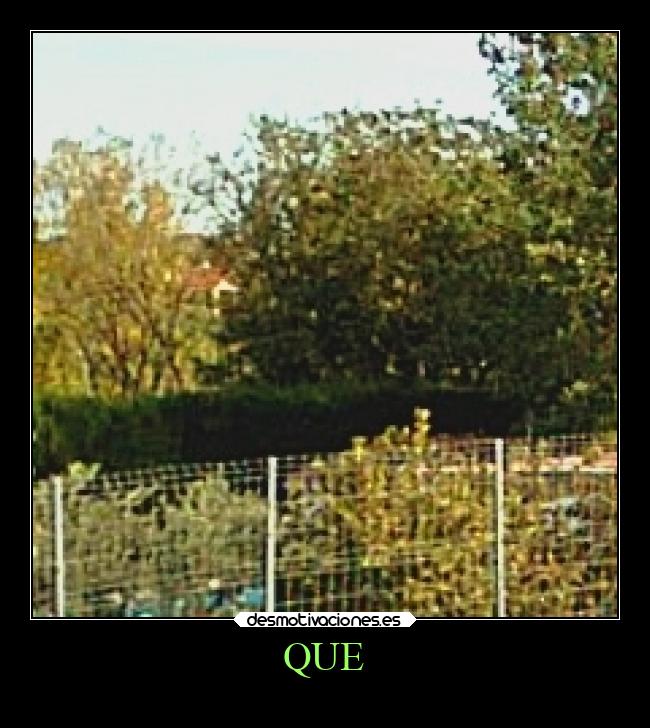 carteles vida v12 waltkdame principal desmotivaciones