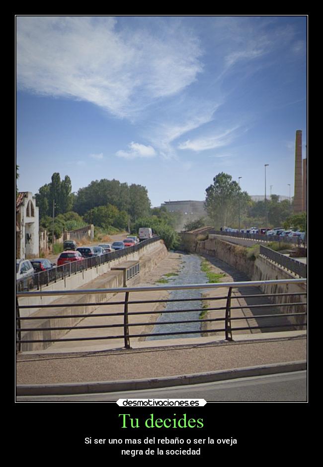 carteles vida v12 waltkdame principal desmotivaciones