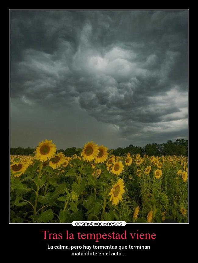 carteles vida v12 waltkdame principal desmotivaciones