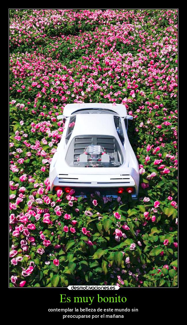 carteles vida v12 waltkdame principal desmotivaciones