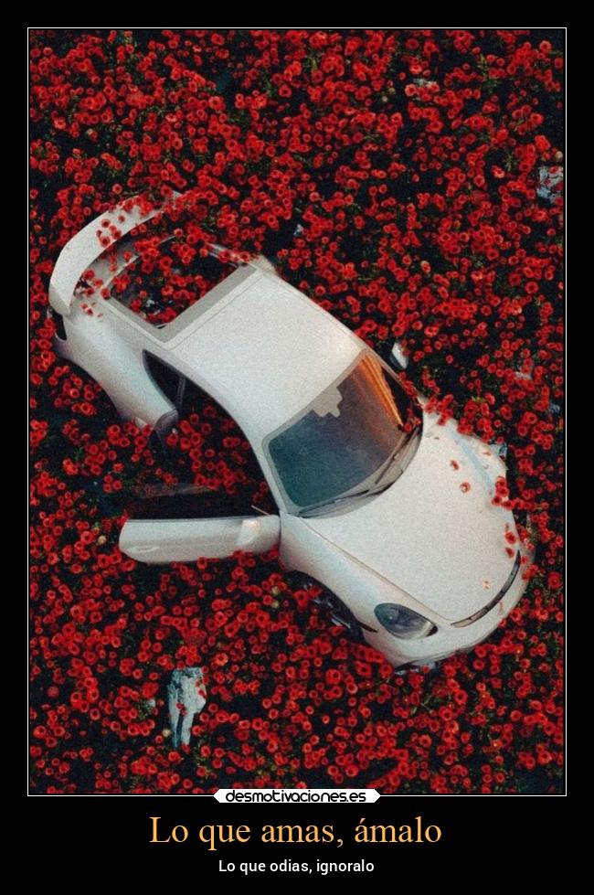 Lo que amas, ámalo -