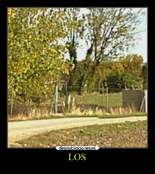 carteles vida v12 waltkdame principal desmotivaciones