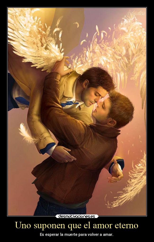 Uno suponen que el amor eterno - Es esperar la muerte para volver a amar.