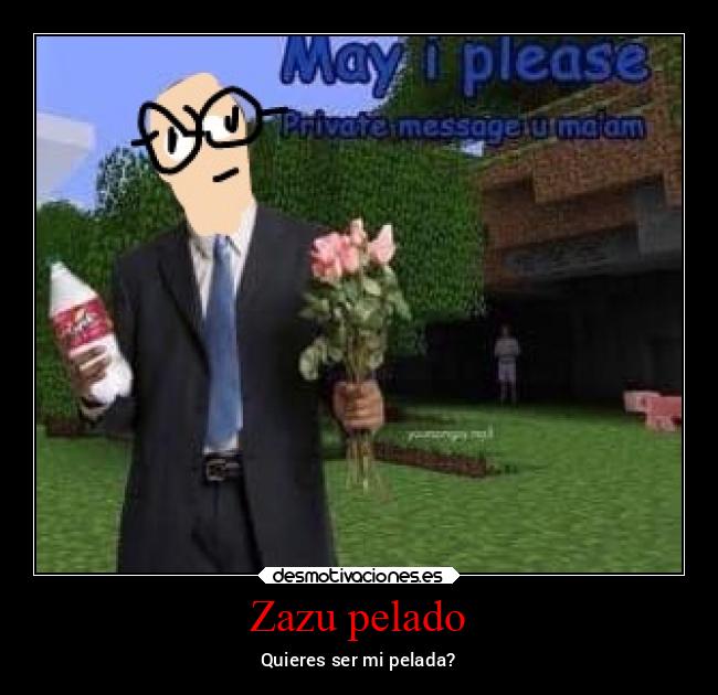 Zazu pelado - Quieres ser mi pelada?