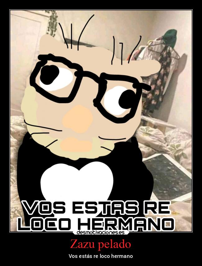 Zazu pelado - 