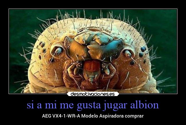 si a mi me gusta jugar albion - AEG VX4-1-WR-A Modelo Aspiradora comprar