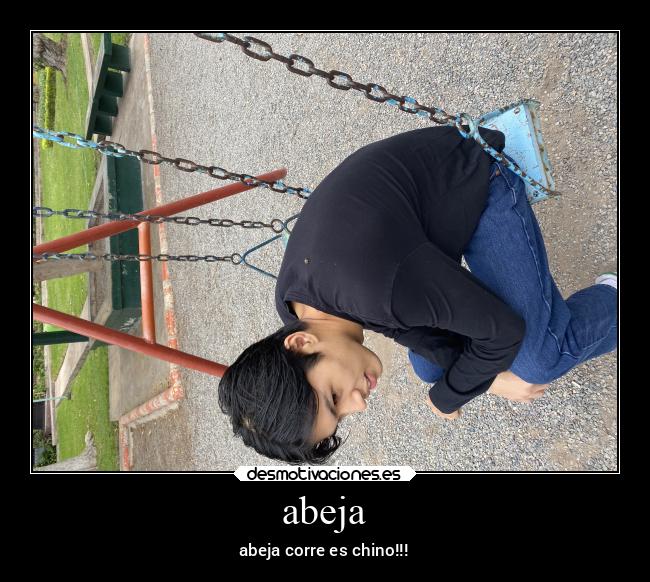 carteles chiste desmotivaciones