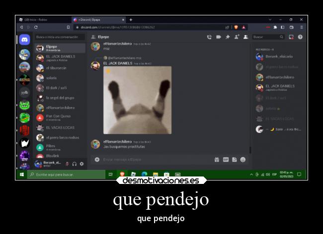 que pendejo - que pendejo