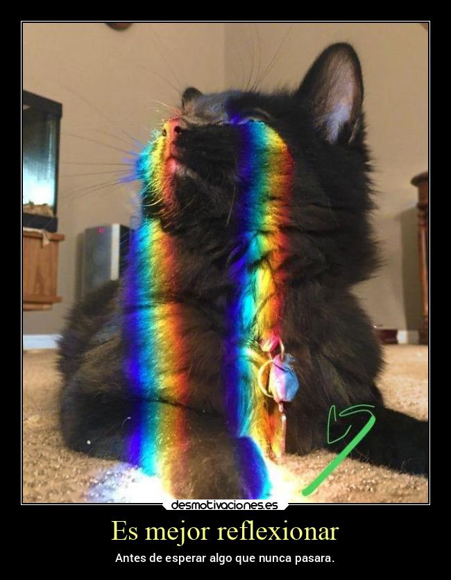 Es mejor reflexionar - Antes de esperar algo que nunca pasara.