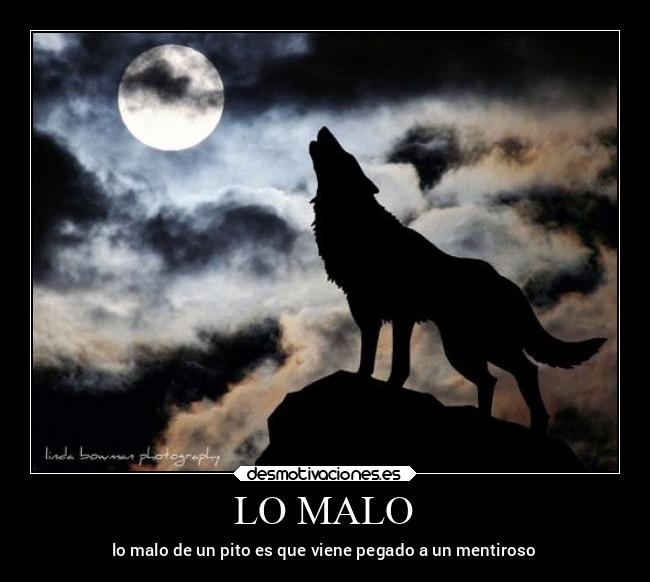 carteles locura desmotivaciones