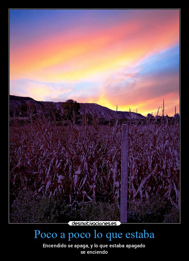 Poco a poco lo que estaba - 