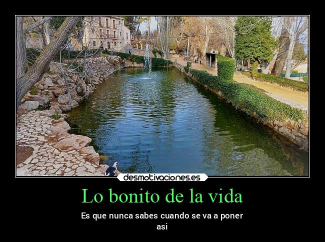 Lo bonito de la vida - 