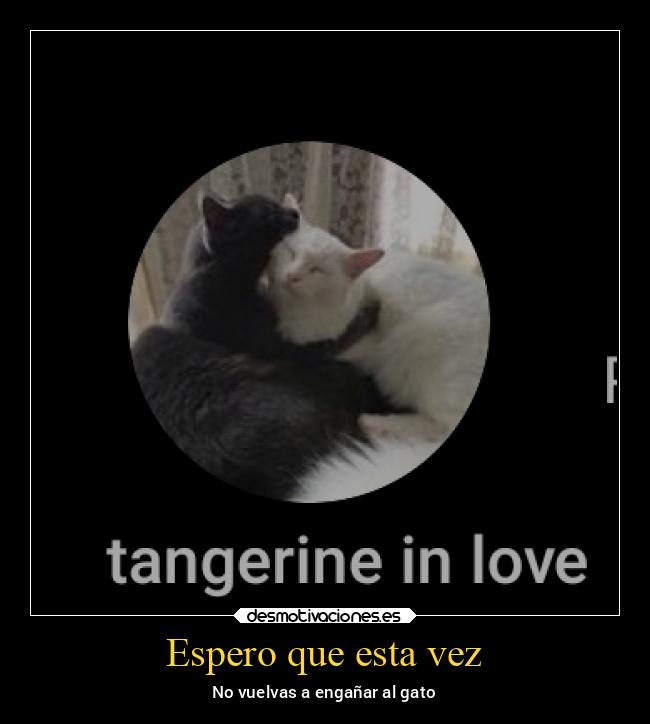 carteles vida v12 waltkdame principal desmotivaciones