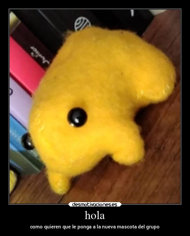 hola - como quieren que le ponga a la nueva mascota del grupo