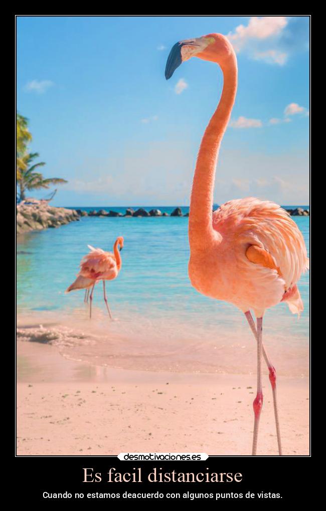 Es facil distanciarse - 