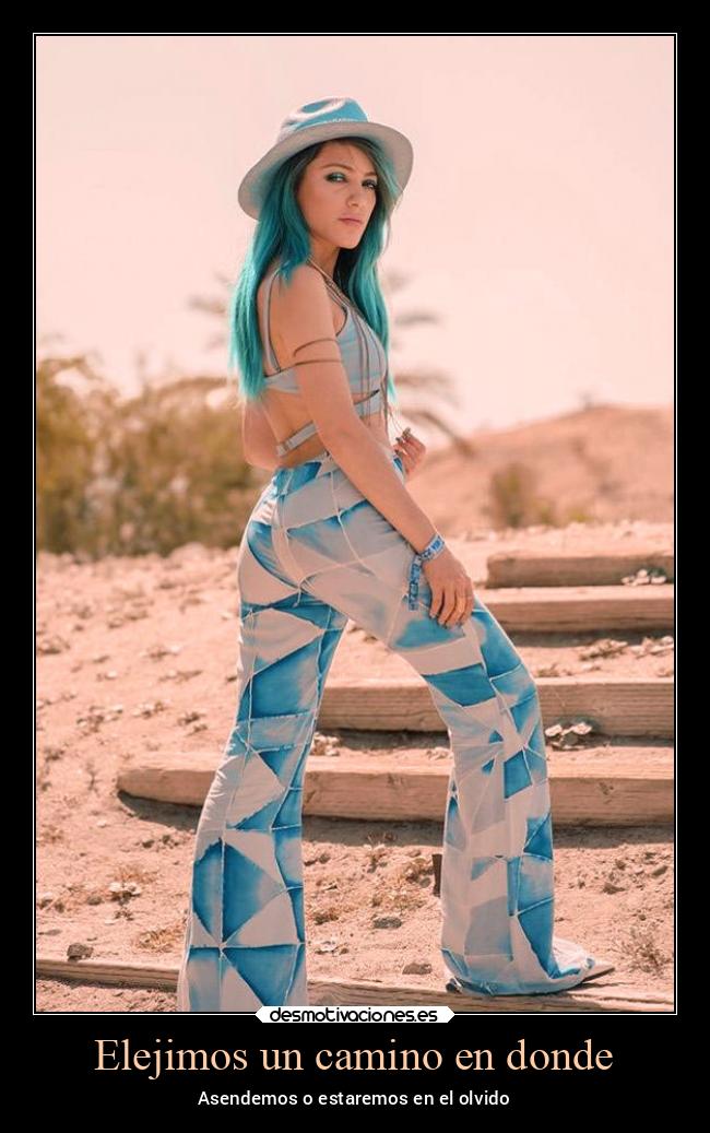 Elejimos un camino en donde - 