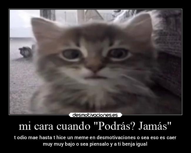 carteles odio una broma interna nos queremos mucho desmotivaciones