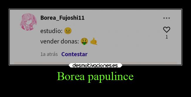 Borea papulince - 