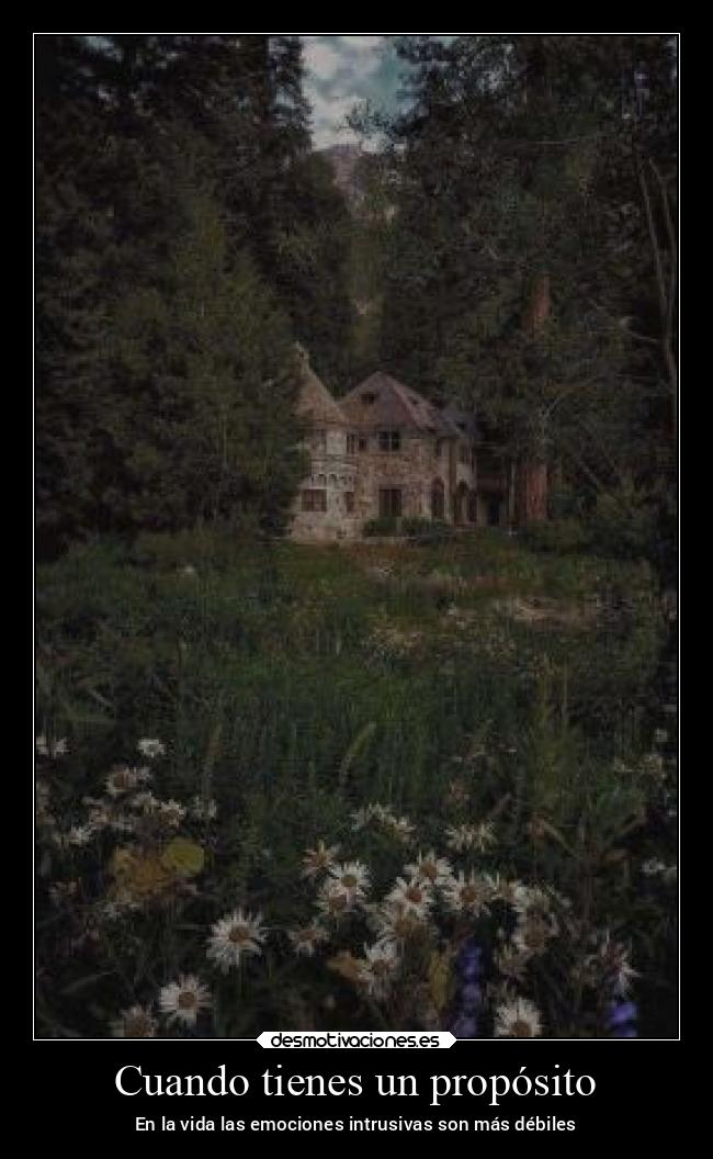 Cuando tienes un propósito - En la vida las emociones intrusivas son más débiles