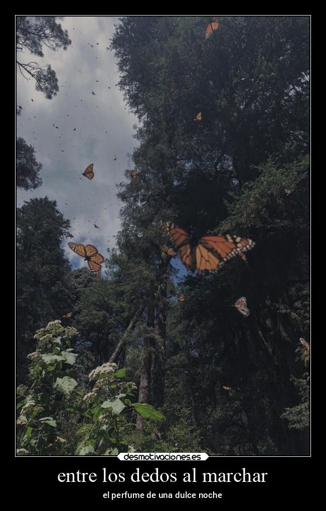 entre los dedos al marchar - el perfume de una dulce noche
