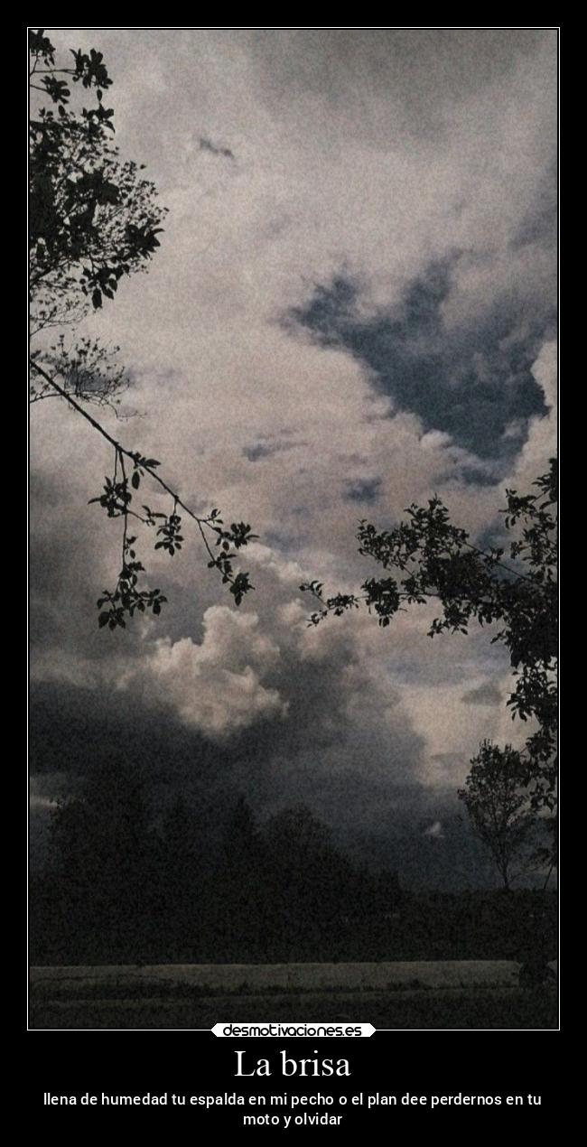 La brisa - llena de humedad tu espalda en mi pecho o el plan dee perdernos en tu
moto y olvidar