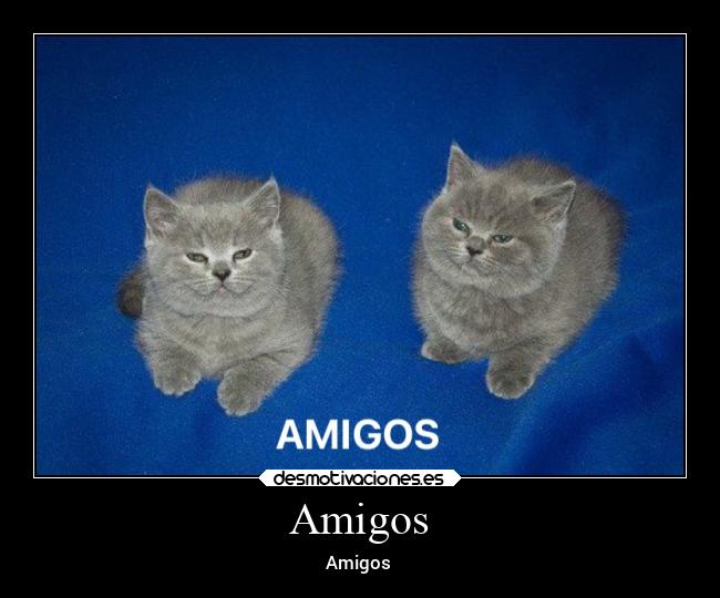 carteles amigos amigos alegria desmotivaciones