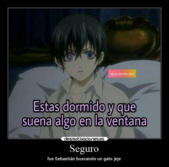Seguro - fue Sebastián buscando un gato jeje