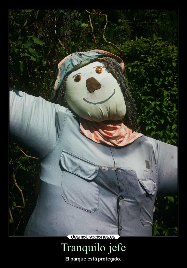 carteles graciosas munieco tranquilidad desmotivaciones
