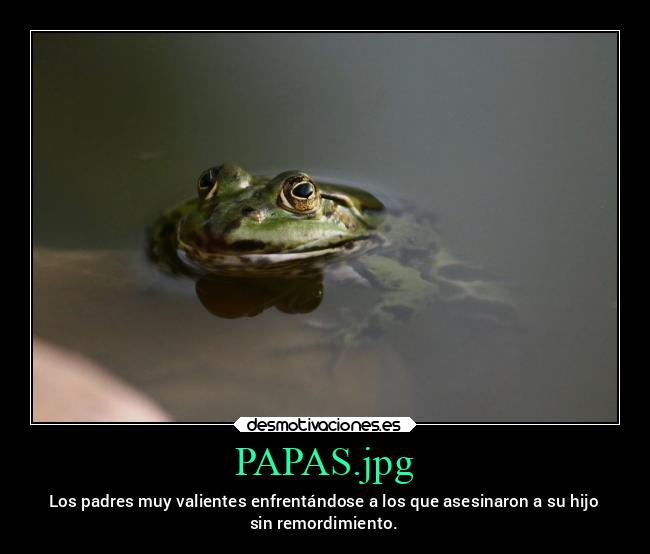 carteles padres muerte sapo papas jpeg juicio desmotivaciones