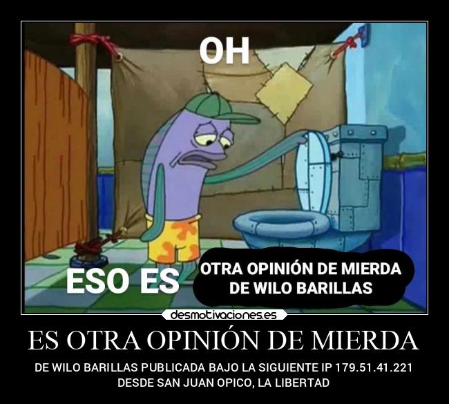 ES OTRA OPINIÓN DE MIERDA -