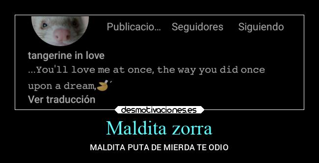 Maldita zorra - 