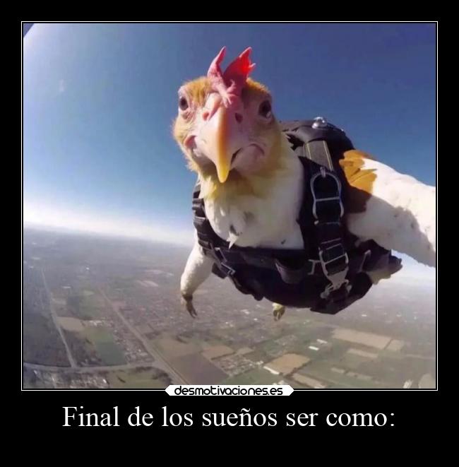 Final de los sueños ser como: -
